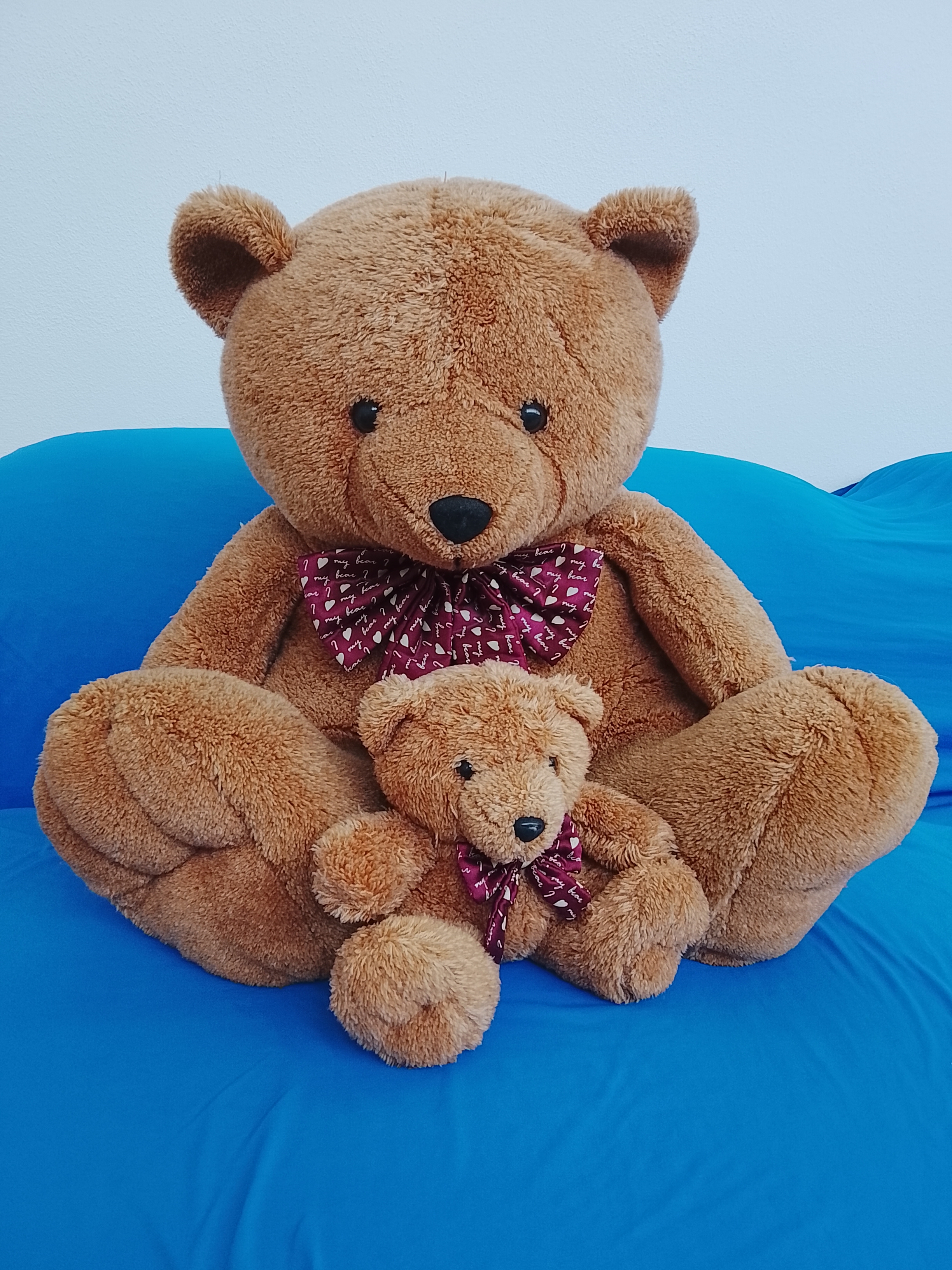 Coppia orsi di peluche