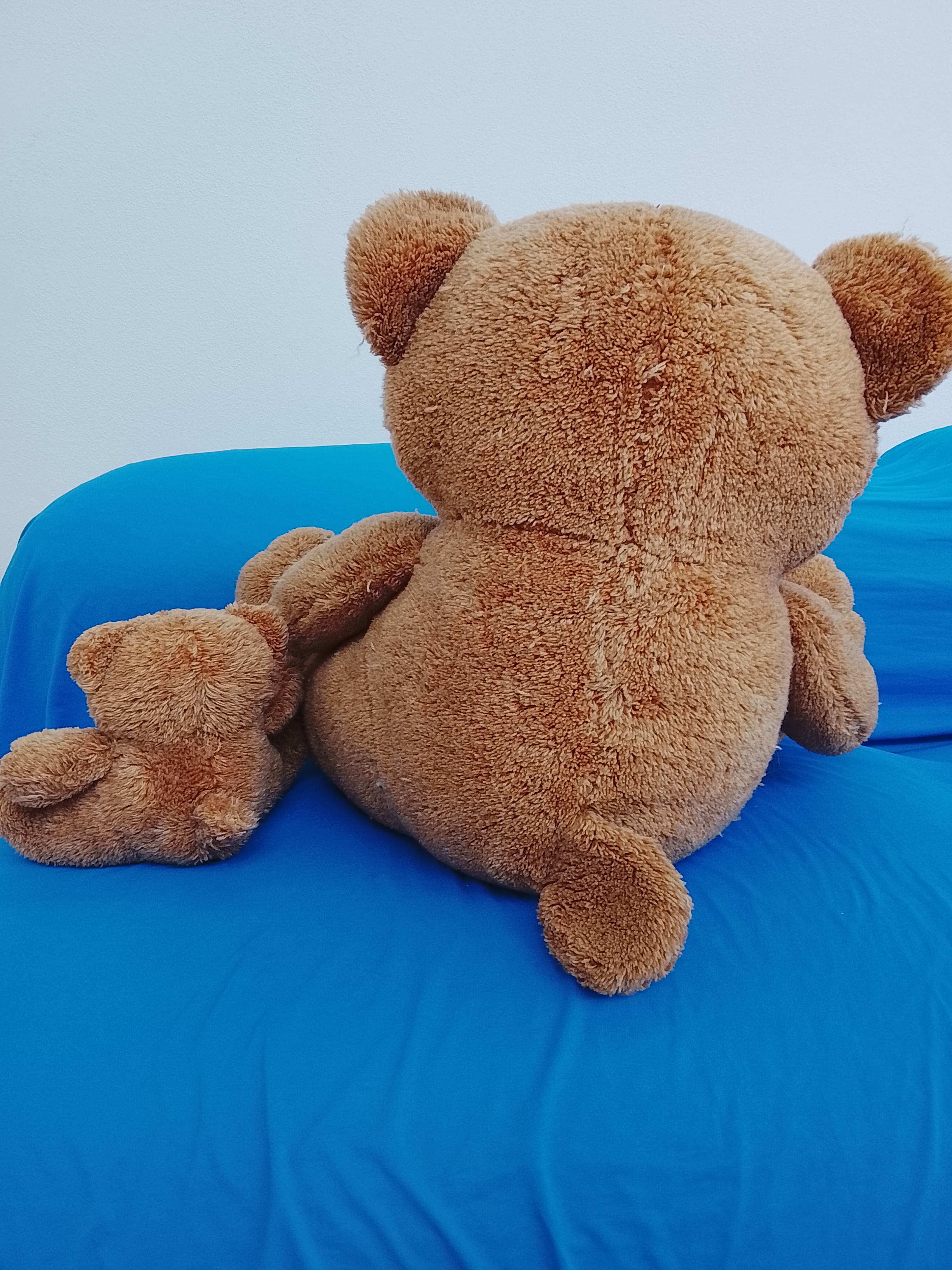 Coppia orsi di peluche